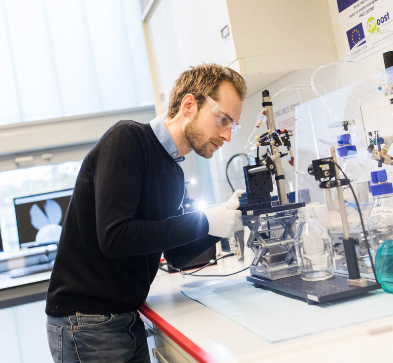 Novel T Lizetbeek.Nl NOVELT2 12 2000X1334