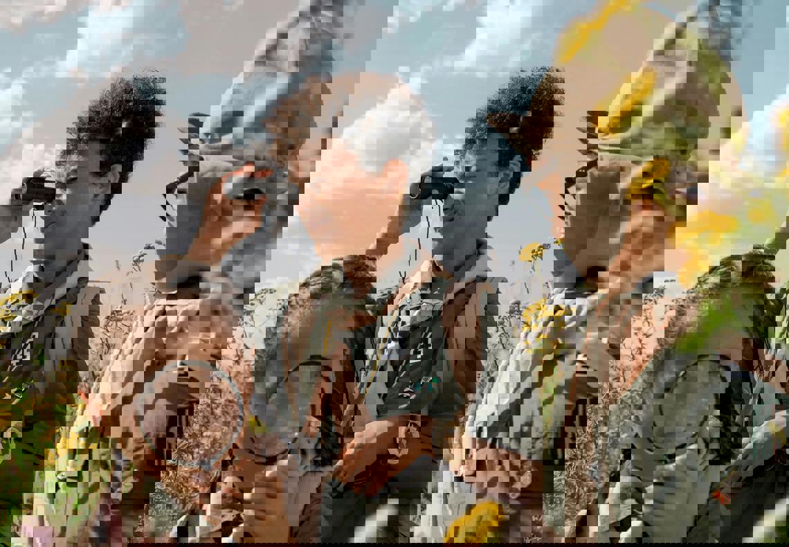 Scout Pexels Cottonbro 9290021