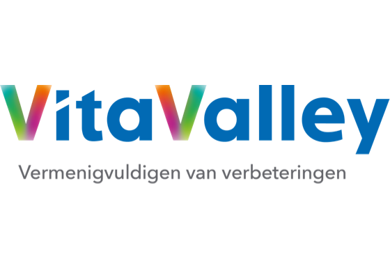 logo VitaValley
