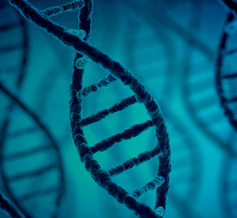 Nytor Header Assay Development 02