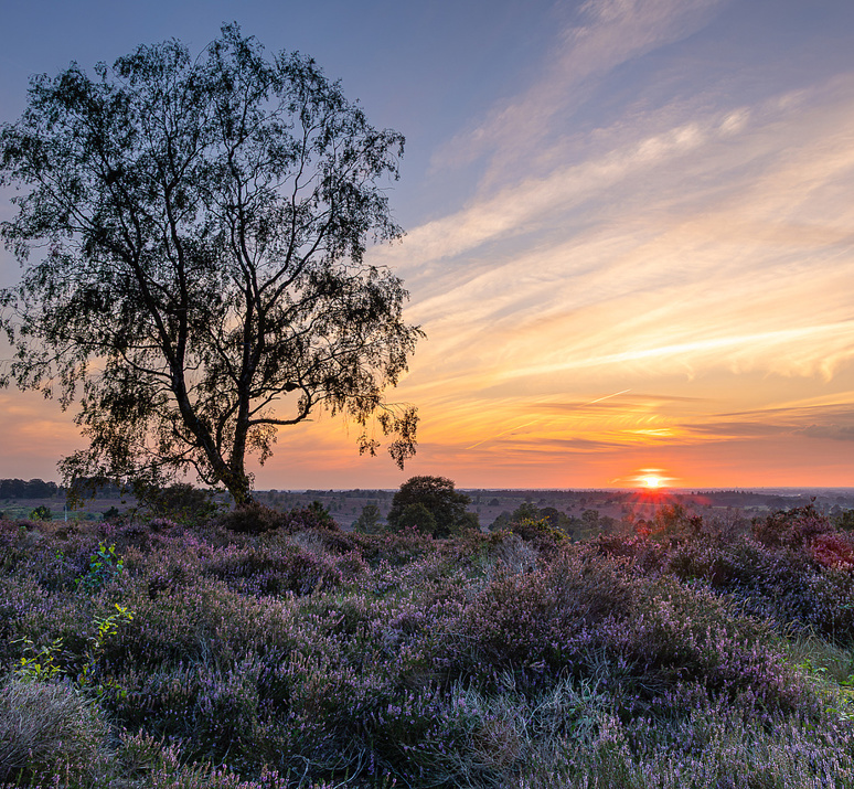 Virtueel Wandelen Previewexp Bcokyyqk