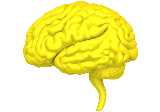 logo The Yellow Brain