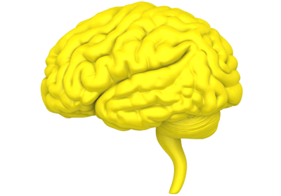 The Yellow Brain Logo Temp