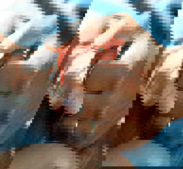 Care Holding Hands National Cancer Institute Bxxgtqew1m4 Unsplash