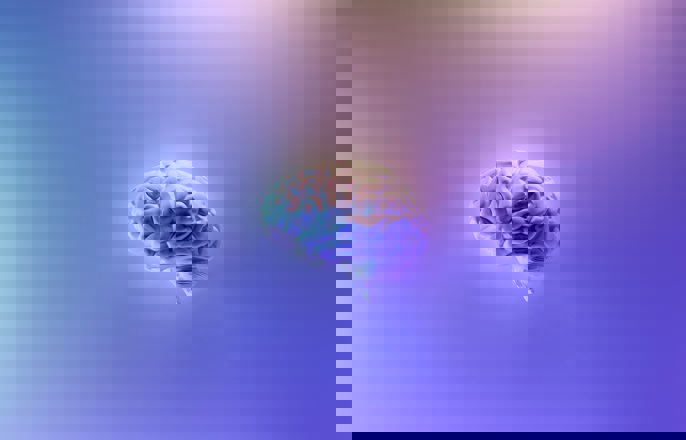 Brain Fakurian Desig 58Z17lnvs4u Unsplash