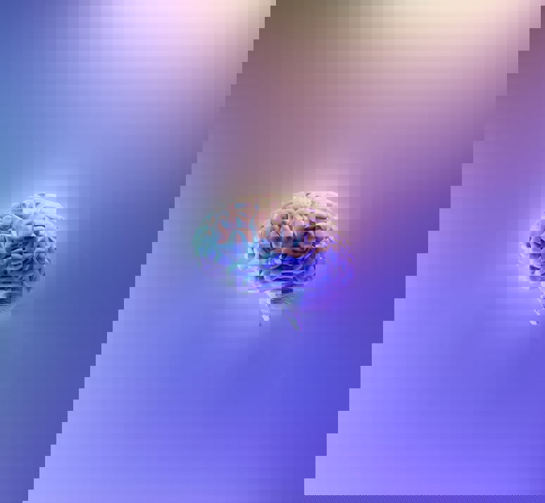 Brain Fakurian Desig 58Z17lnvs4u Unsplash