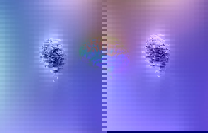 Brain Fakurian Desig 58Z17lnvs4u Unsplash