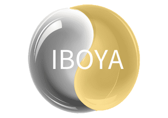 logo Iboyatraining