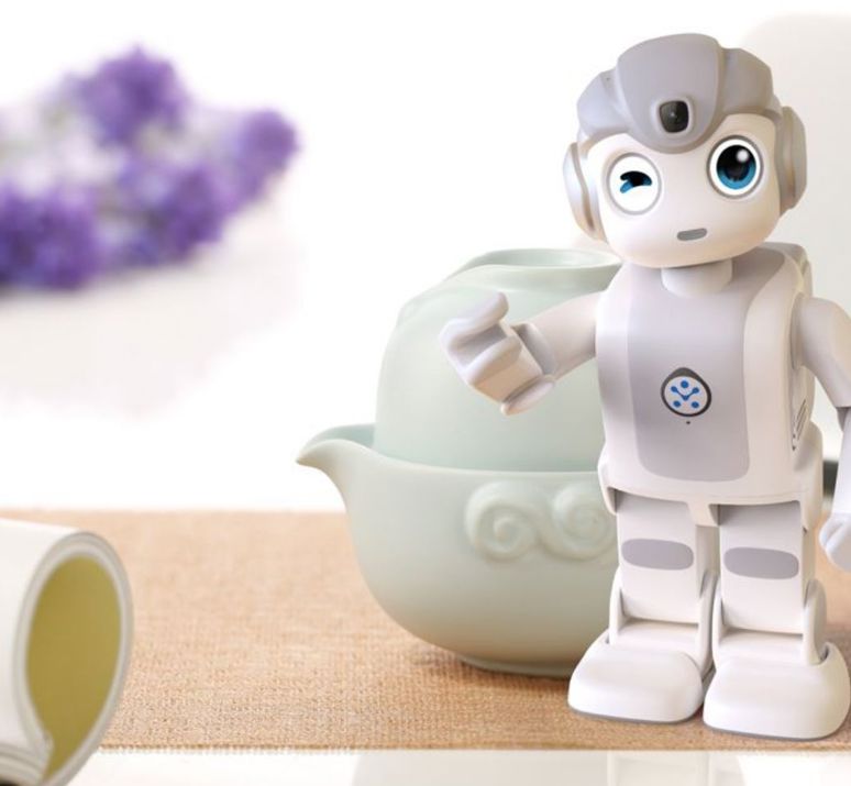 Smartrobot.solutions passie voor robots