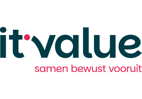 logo IT-Value